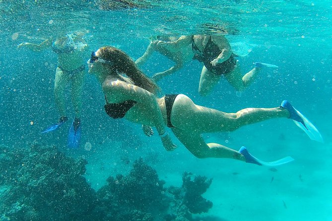 Full-Day Snorkeling With Dolphins in Hurghada With Lunch