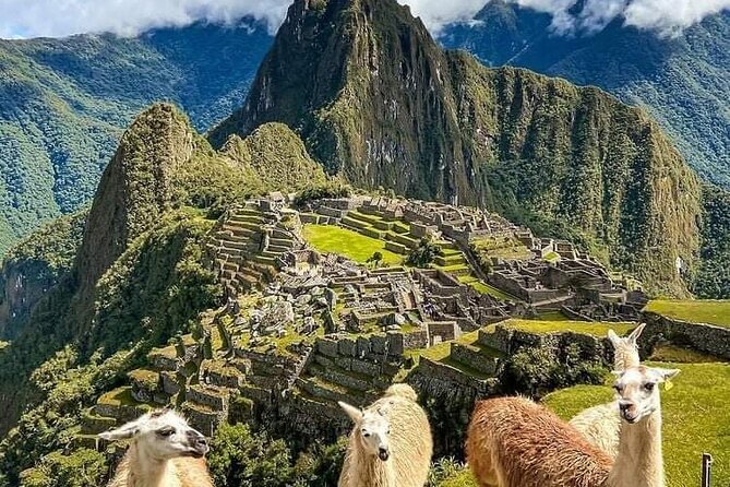 Full Day Tour in Machupicchu