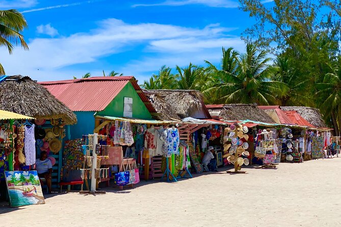 Full Day Tour to Isla Saona and Altos De Chavon