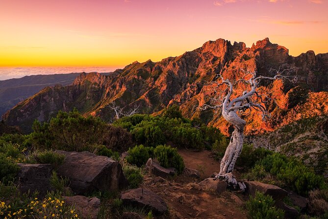 Full Day Tour to West Madeira Island