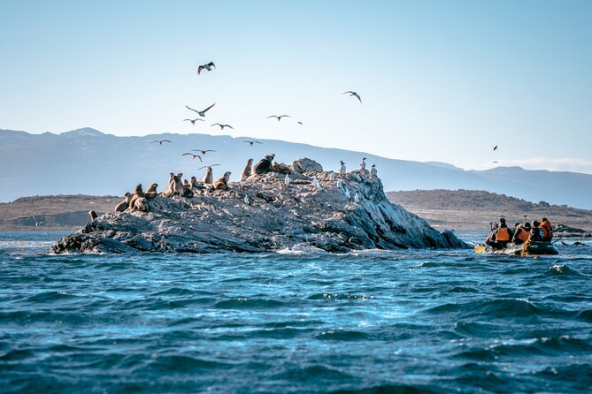 Full Day Tour With Canoes in Puerto Almanza From Tierra Del Fuego - Tour Overview