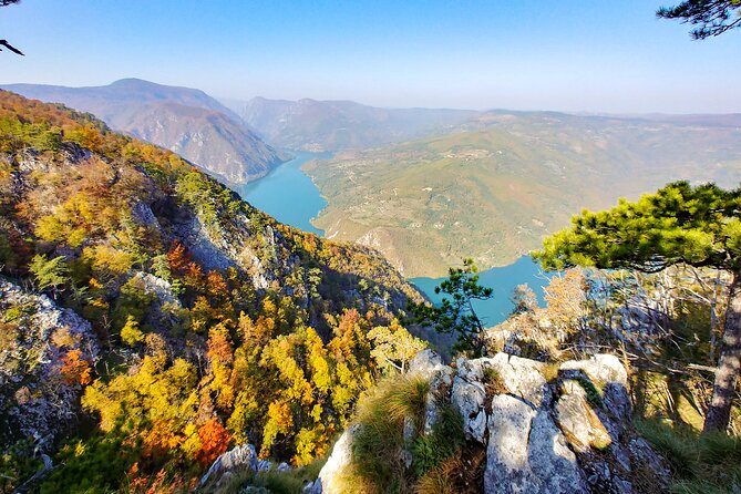 Full Day Trip From Belgrade: the Drina River House and Tara Park Tour