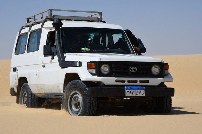 Full Day Trip to El-Fayoum Oasis & Wadi El-Hitan From Cairo - Tour Highlights