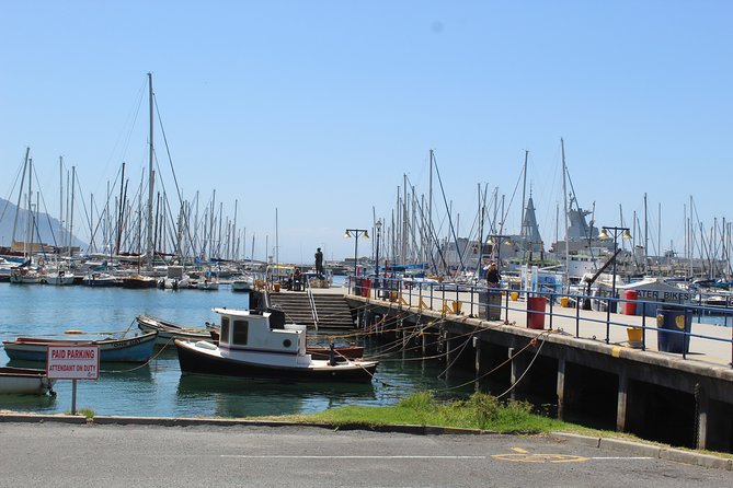 Full Day Visit to Cape Point Cape of Good Hope for Special Needs From Cape Town
