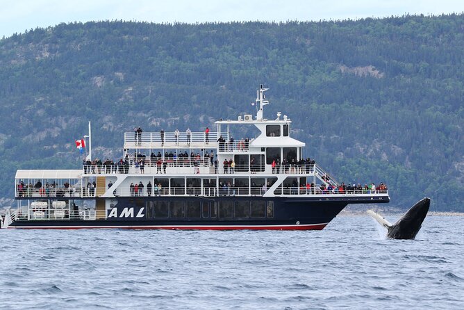 Full-Day Whale Watching Cruise From Quebec City - Itinerary Details