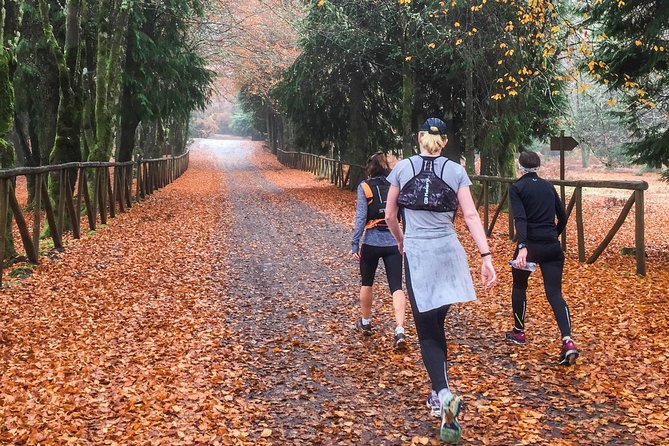 Funchal Half-Day Trail Running Small-Group Tour