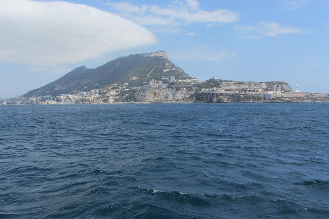 Gibraltar and Dolphins Cruise Day Trip From Costa Del Sol