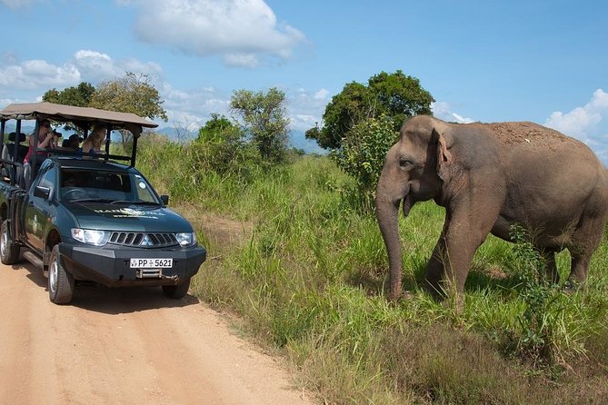 Glamping Safari Bordering Udawalawe National Park