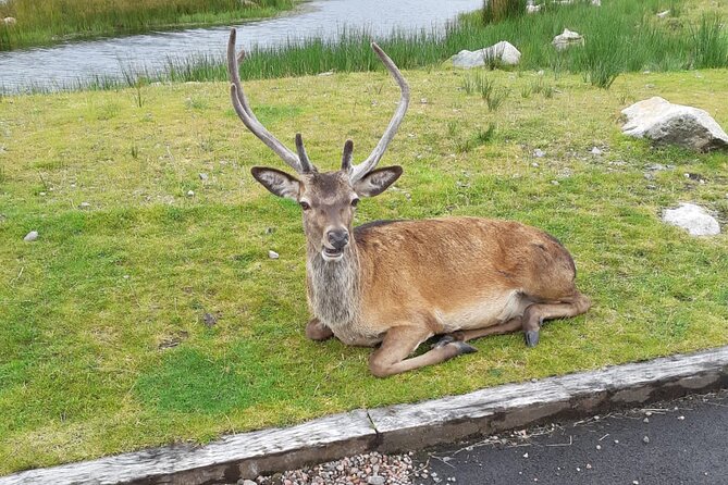 Glenelg, Plockton and Applecross