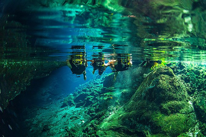 Go City: Cancun All-Inclusive Pass With 40+ Activities