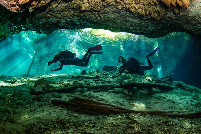 Go for 2 Dives in Cenote Dos Ojos for Certified Divers