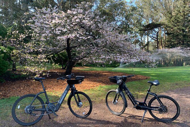 Golden Gate Park Electric Bike Rental