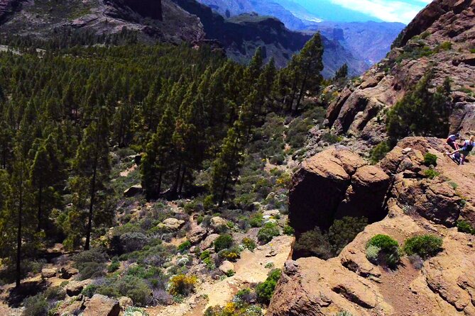 Gran Canaria PRIVATE VIP TOUR With 4K Holiday Video - Scenic Locations Highlighted