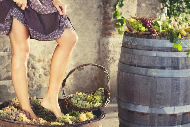 Grape Stomping in Tuscan Farmhouse
