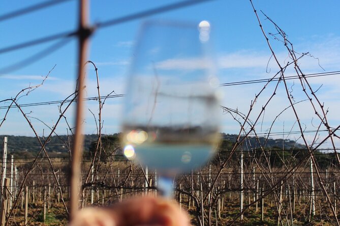 Grimaud Horse Riding and Wine Tasting Review