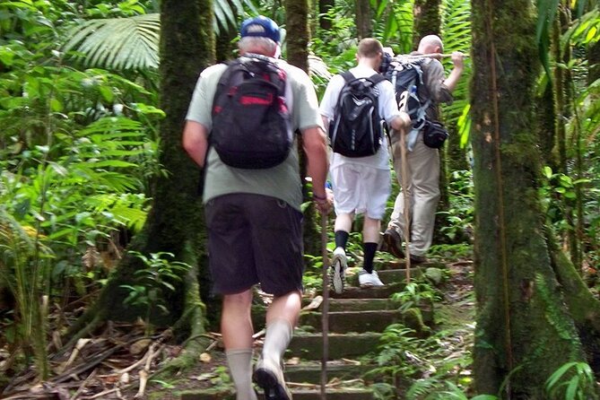 Gros Piton Hike in St. Lucia (Private)