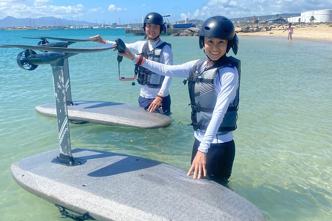 Group of 2 + Mid Length Efoil Experience Honolulu HAWAII