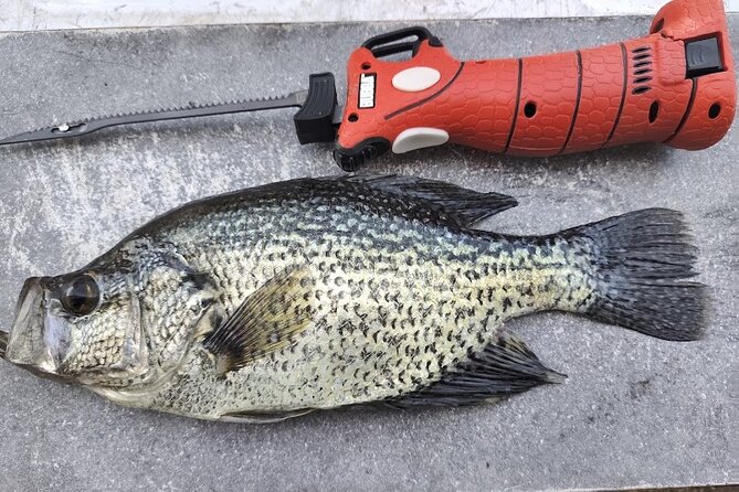 Guided Bass and Crappie Fishing Review