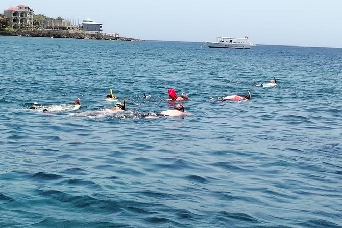 Guided Boat Tour & Snorkeling at Roatan With Pickup