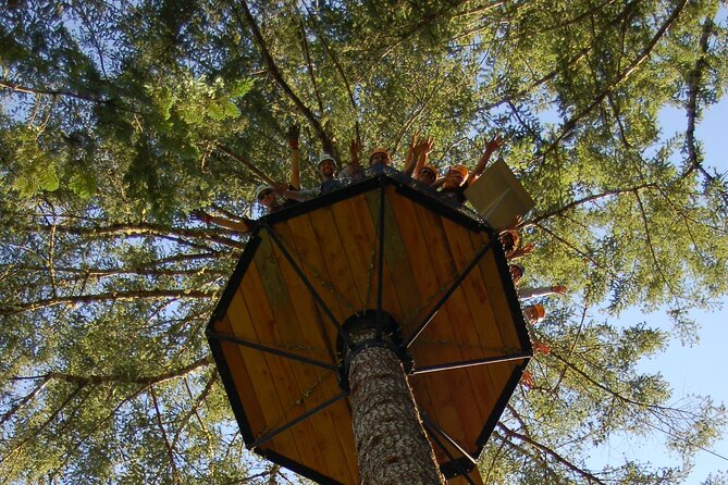 2 Best Guided Tours In Vancouver Island