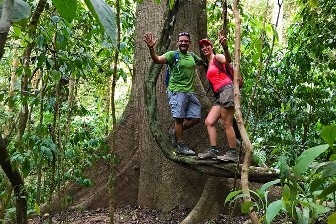 Guided Hiking Tour by the Mystic Ebano Rainforest in Costa Rica