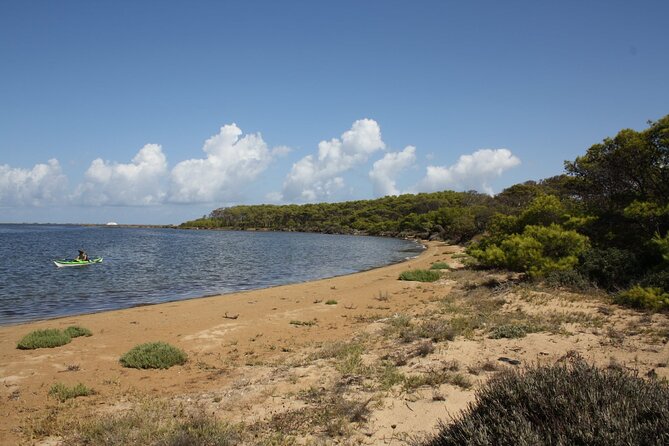 Guided Kayak Tour Inside the Stagnone of Marsala - Kayaking Through the Lagoon