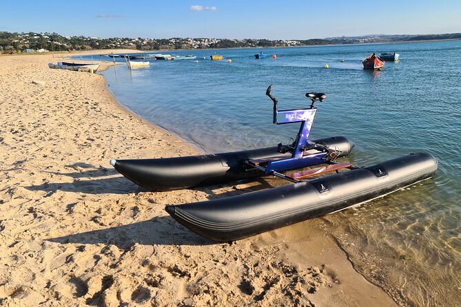 Guided Kayak Tours in the Óbidos Lagoon - Meeting and Pickup