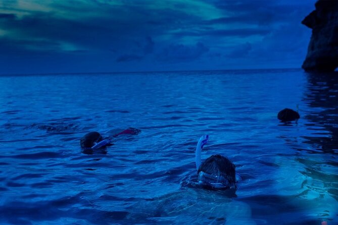 Guided Night Snorkeling in Roatan