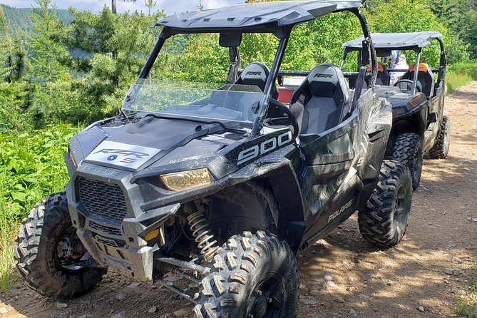 Guided Off-Road Vehicle Tours in North Idaho Forests - Overview of the Experience