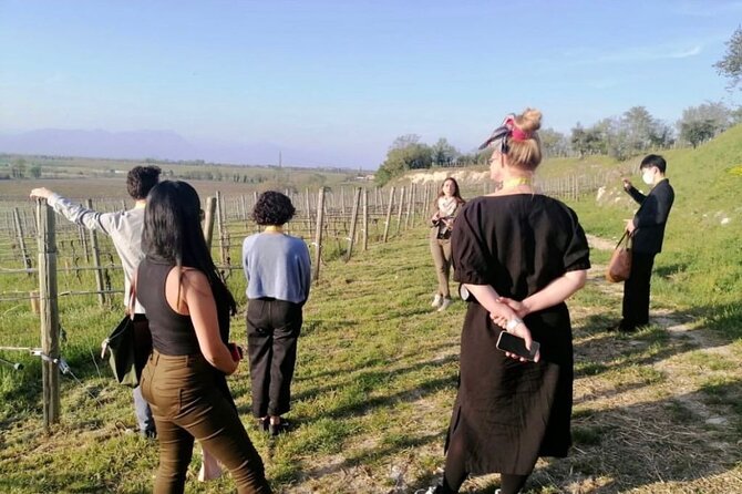 Guided Premium Tour in Lugana DOC – 5 Wines From Perla Del Garda