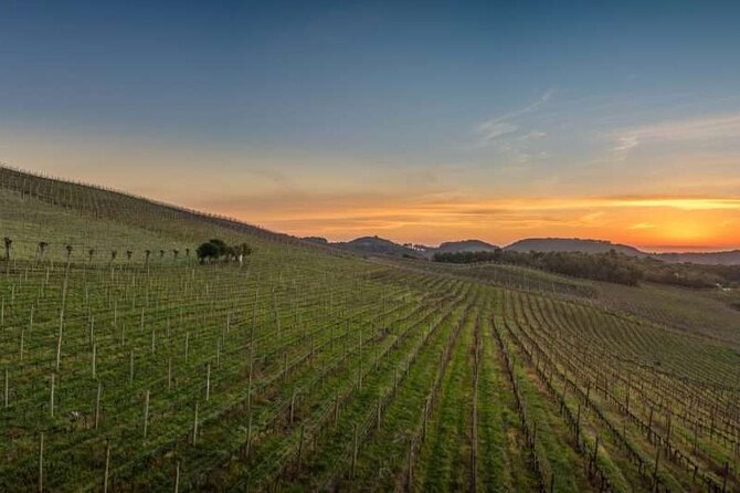 Guided Tour in English to Gramado or the Brazilian Wine Region