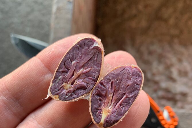 Guided Tour of the Artisan Chocolate Factory in Tuscany