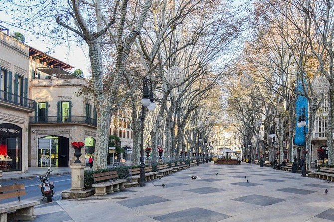 Guided Tour: Palma Old Town and Cathedral Visit
