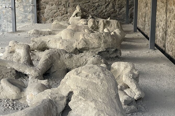 Guided Tour Pompeii and Vesuvius From Positano Skip the Line - Inclusions