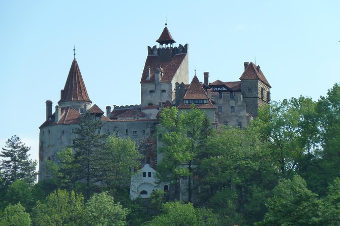 Guided Visit in Spanish to the Castle of Dracula in Bran (Native Spanish Guide). - Pricing and Booking Details