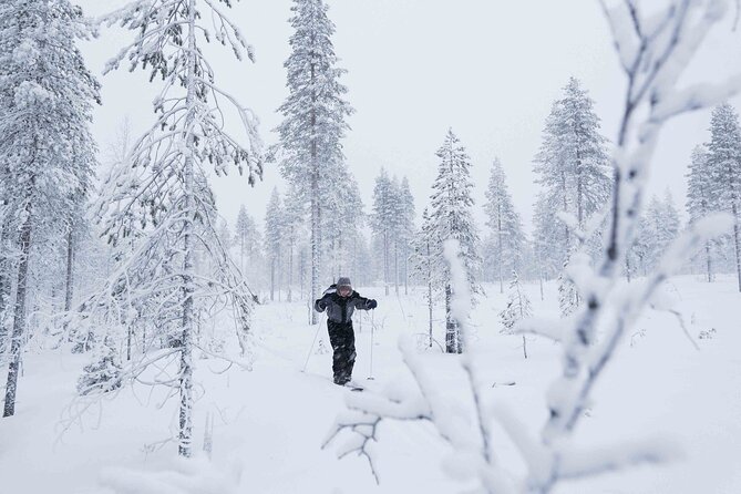 Half-Day Backcountry Skiing Tour in Levi With Photography Guide