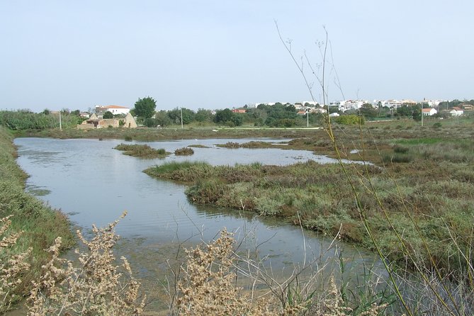 Half-Day Birdwatching at the Abicada Marshed - Cancellation Policy