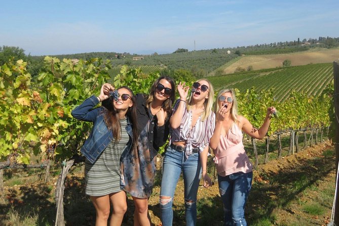 Half-Day Chianti Wine Tour From Florence - Small Group - Itinerary and Inclusions
