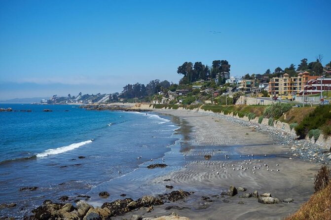 Half-Day Chilean Pacific Coast Tour: Viña Del Mar, Reñaca and Concón - Exploring the Garden City: Viña Del Mar