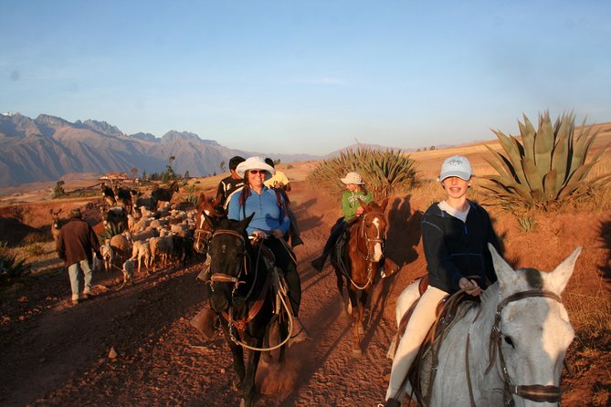 Half Day – City Horse Traditional Riding Tour Group Service