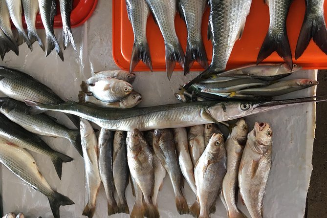 Half-Day Cooking Experience by the Pacific Ocean - Overview of the Experience