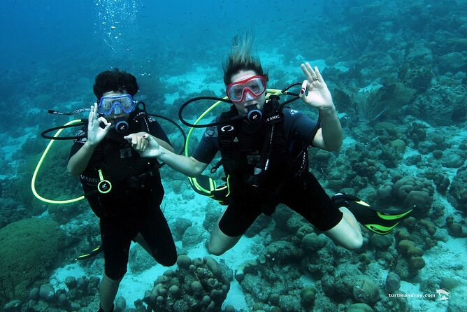 Half Day Diving Adventure With Transportation Included