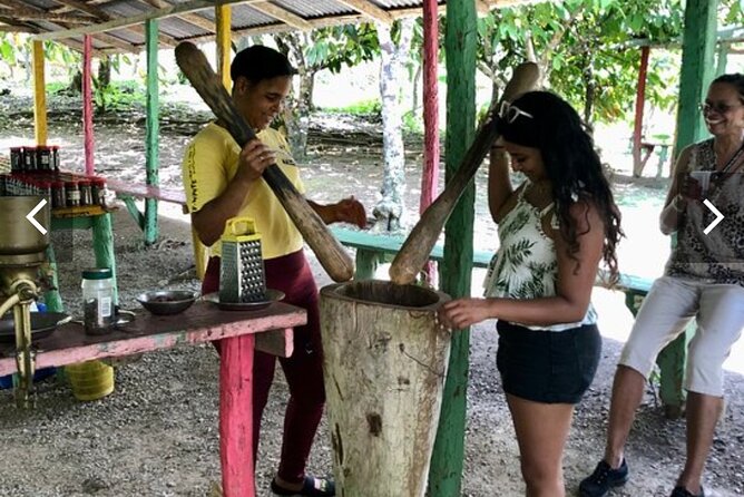 Half Day Dominican Republic Cultural Tour - Overview and Features
