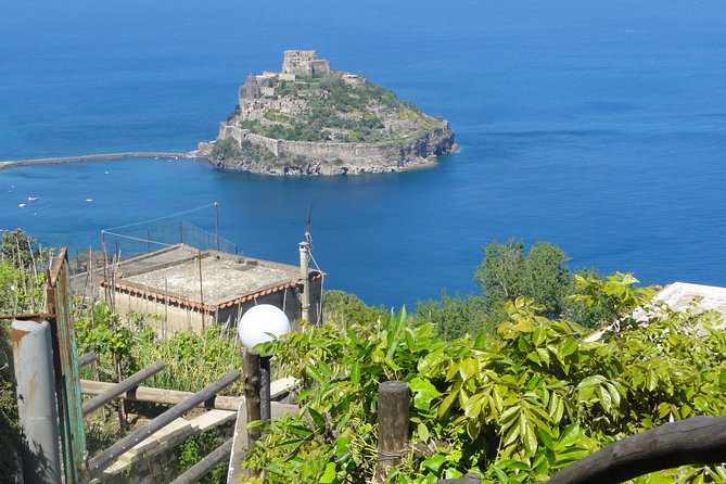Half-Day East Coast Hike in Ischia Island With Pick-Up - Viator Help Centre for Inquiries