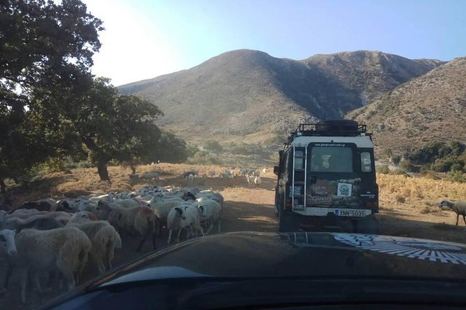 Half-Day Georgioupolis Off-Road Adventure With Meal - Tour Overview and Details