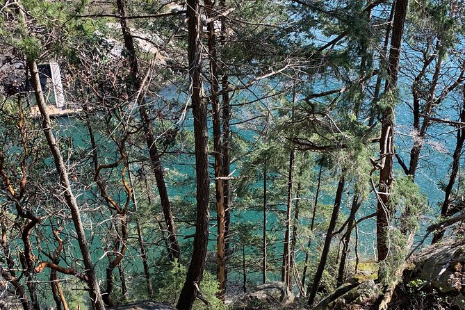Half-day Hike and Bike Tour in Vancouver - Tour Overview