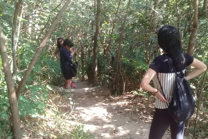 Half-Day Hike to Two Brothers Mountain - Transportation and Meeting Points