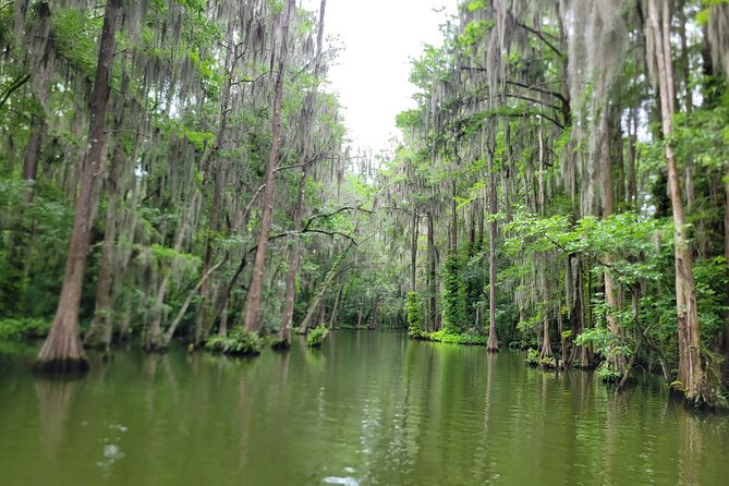 Half Day Kayak and Paddle Board Rentals on the Scenic Dora Canal