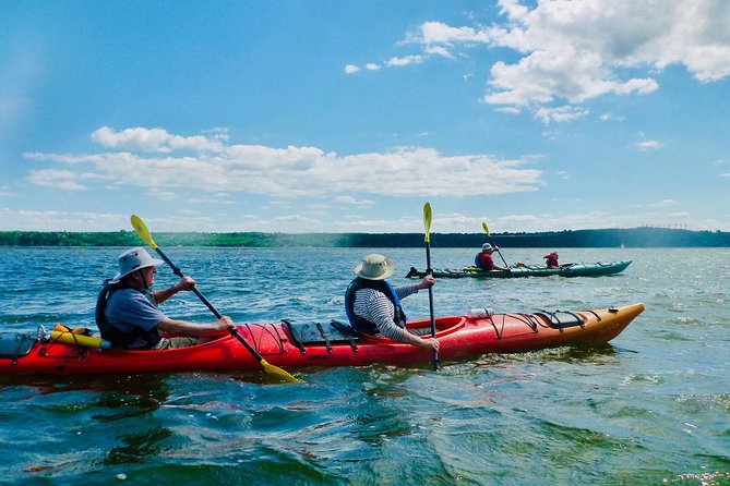 Half-Day Orleans Island Small-Group Sea Kayaking Tour