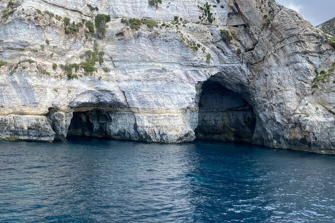 Half Day Private Sunset Catamaran Cruise - Inclusions